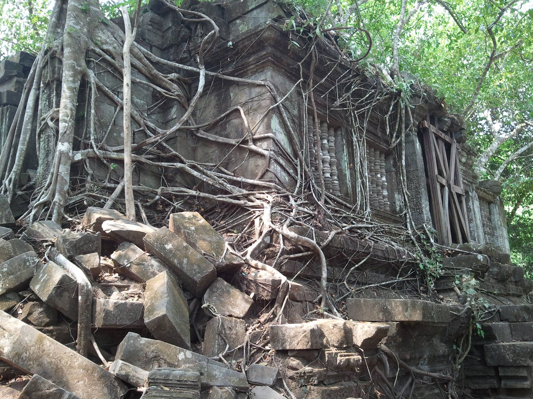 How to get to Mondulkiri Elephant Tour or Mondulkiri Province